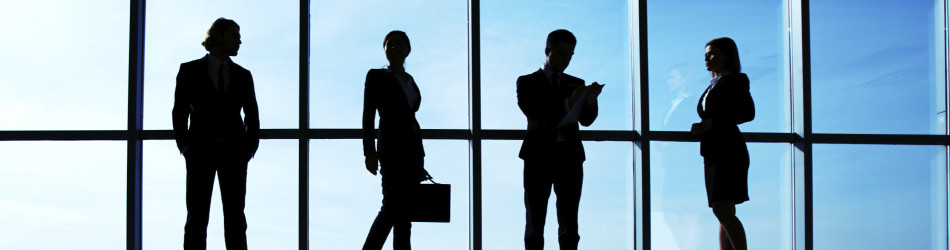 Palmar Consulting Group, Inc - Clients